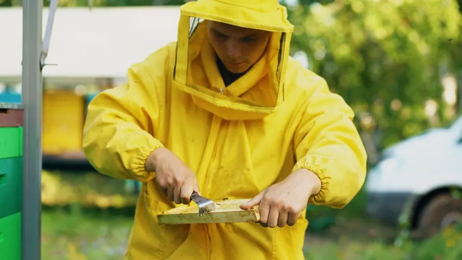Commercial Rodent Control